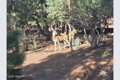 3408 Ponderosa Loop, Heber, AZ 85928 - Photo 56