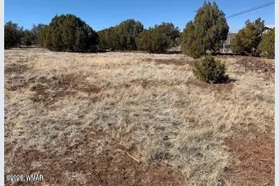 8580 Silver Creek Drive, Show Low, AZ 85901 - Photo 2