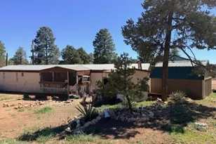 2019 Broken Arrow Rd, Overgaard, AZ 85928 - Photo 1