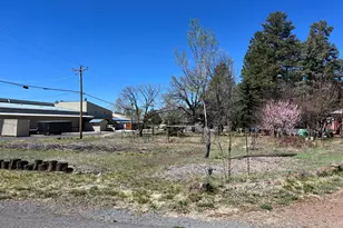 1448 S Adair Dr, Pinetop, AZ 85935 - Photo 1