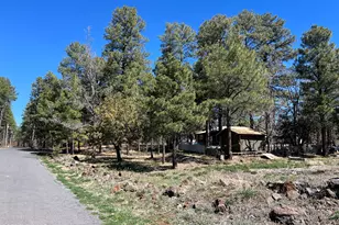 1448 S Adair Dr, Pinetop, AZ 85935 - Photo 6