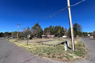 1448 S Adair Dr, Pinetop, AZ 85935 - Photo 2