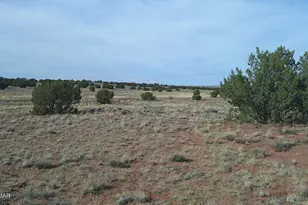 94 N9027, Concho, AZ 85924 - Photo 38