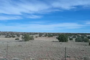 94 N9027, Concho, AZ 85924 - Photo 36
