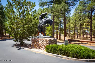 2690 Palomino Trail, Overgaard, AZ 85933 - Photo 30