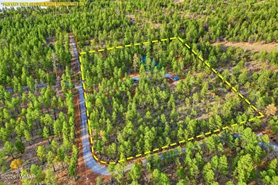 2900 Springer Mountain Drive, Lakeside, AZ 85929 - Photo 22