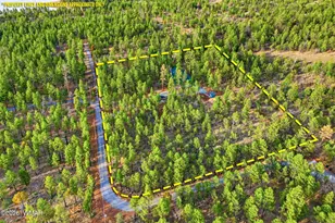 2900 Springer Mountain Dr, Lakeside, AZ 85929 - Photo 22