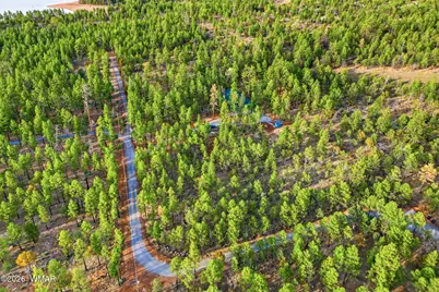 2900 Springer Mountain Drive, Lakeside, AZ 85929 - Photo 32