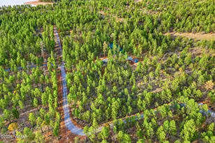 2900 Springer Mountain Dr, Lakeside, AZ 85929 - Photo 32