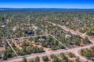 3155 Aspen Rd, Overgaard, AZ 85933 - Photo 12