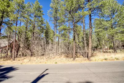 1036 W Apache Lane, Lakeside, AZ 85929 - Photo 6