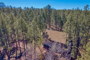 71 E Turkey Track Ln, Pinetop, AZ 85935 - Photo 42