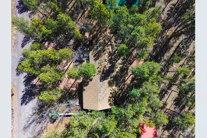 71 E Turkey Track Lane, Pinetop, AZ 85935 - Photo 38