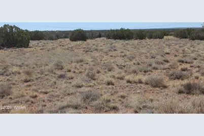 5999 Mesa View Lot 149 Drive, Heber, AZ 85928 - Photo 2