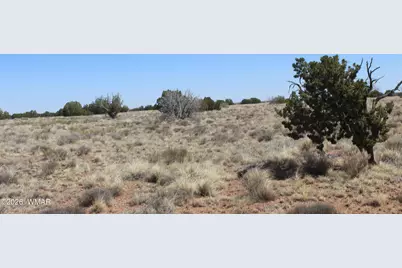5999 Mesa View Lot 149 Drive, Heber, AZ 85928 - Photo 6