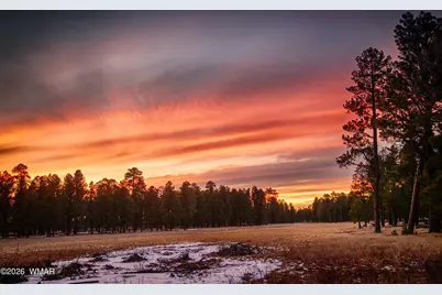507 N Skylane Road, Pinetop, AZ 85935 - Photo 46