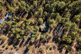 4584 Cub Lake Rd, Show Low, AZ 85901 - Photo 34