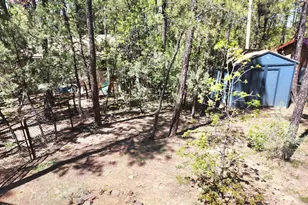 718 S Eagle Loop, Lakeside, AZ 85929 - Photo 28