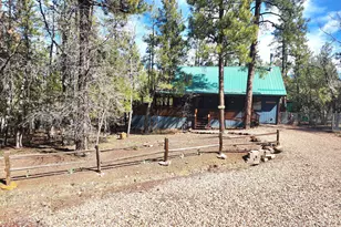 718 S Eagle Loop, Lakeside, AZ 85929 - Photo 2