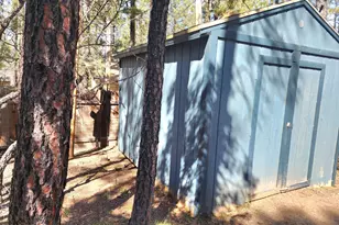 718 S Eagle Loop, Lakeside, AZ 85929 - Photo 26