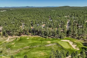 3111 W Lodgepole Ln, Show Low, AZ 85901 - Photo 82