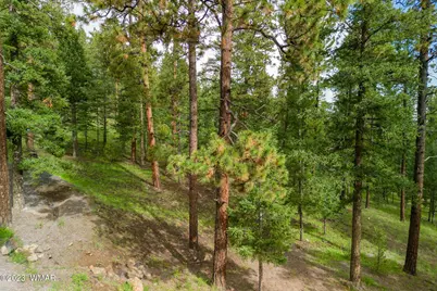 29 N1068, Greer, AZ 85927 - Photo 4