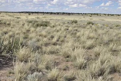 76 Acres Cr 6451, Saint Johns, AZ 85936 - Photo 10