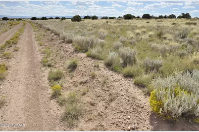 76 Acres Cr 6451, Saint Johns, AZ 85936 - Photo 2