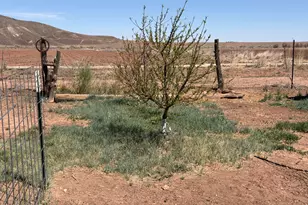 7832 Jacamar Ln, Woodruff, AZ 85942 - Photo 60