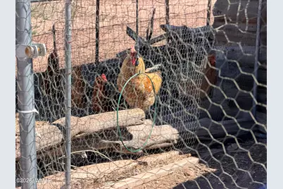 7832 Jacamar Lane, Woodruff, AZ 85942 - Photo 54