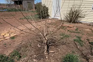 7832 Jacamar Ln, Woodruff, AZ 85942 - Photo 68