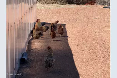 7832 Jacamar Lane, Woodruff, AZ 85942 - Photo 42