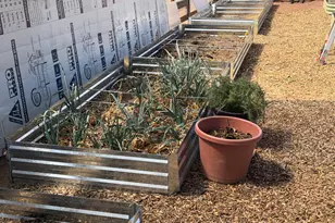 7832 Jacamar Ln, Woodruff, AZ 85942 - Photo 36