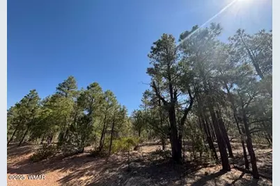 181 S Cliffrose Lane, Show Low, AZ 85901 - Photo 1