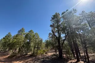 181 S Cliffrose Ln, Show Low, AZ 85901 - Photo 1