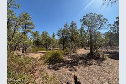 181 S Cliffrose Lane, Show Low, AZ 85901 - Photo 2