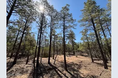 181 S Cliffrose Lane, Show Low, AZ 85901 - Photo 6