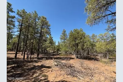 181 S Cliffrose Lane, Show Low, AZ 85901 - Photo 14