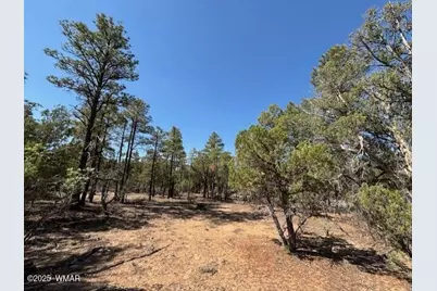 181 S Cliffrose Lane, Show Low, AZ 85901 - Photo 8