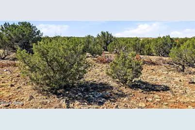 8664 Sequoia Place, Show Low, AZ 85901 - Photo 4