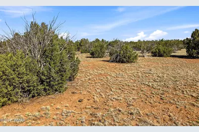 8664 Sequoia Place, Show Low, AZ 85901 - Photo 6