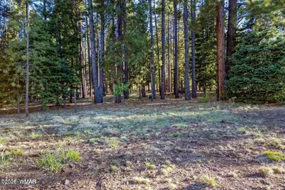 10 N 1337, Greer, AZ 85927 - Photo 1