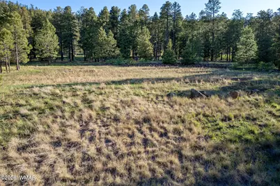 34 N 1330, Greer, AZ 85927 - Photo 16