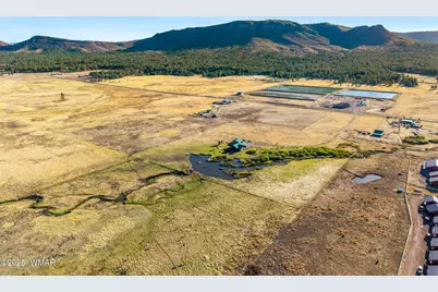 216 Cr 2311, Alpine, AZ 85920 - Photo 46