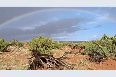 Tbd Alamo Ln, Snowflake, AZ 85937 - Photo 4