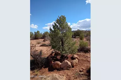 Tbd Alamo Ln, Snowflake, AZ 85937 - Photo 8