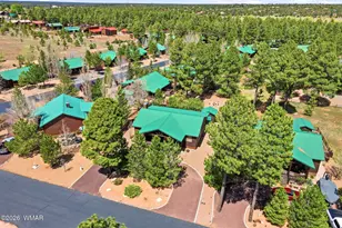 2671 Palomino Trail, Overgaard, AZ 85933 - Photo 24