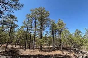 181 S Cliffrose Ln, Show Low, AZ 85901 - Photo 6