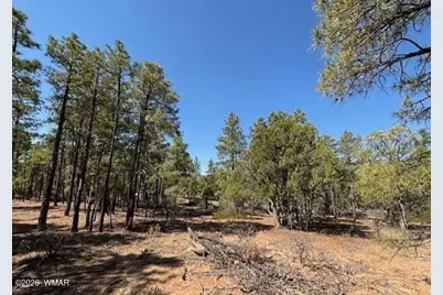 181 S Cliffrose Lane, Show Low, AZ 85901 - Photo 4