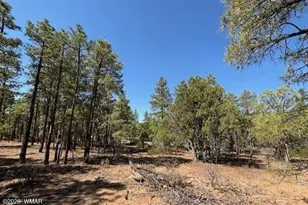 181 S Cliffrose Ln, Show Low, AZ 85901 - Photo 4